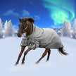 Equinavia Arktis Extended Neck Light Weight Turnout Blanket 100g full view on horse running