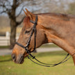 Equinavia Saga Bitless Bridle chocolate Brown