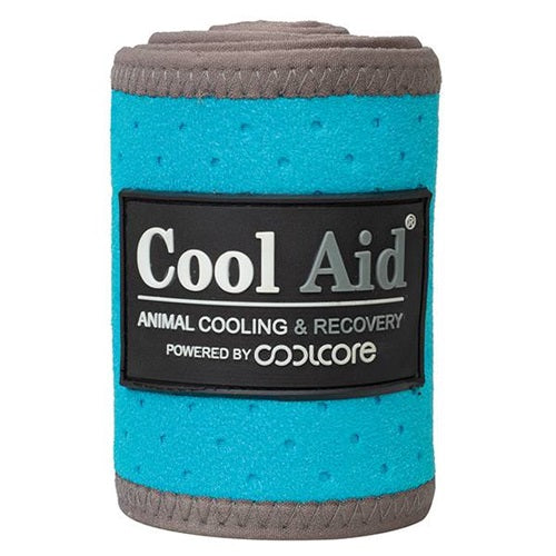 Equine Icing & Cooling Polo Wraps in turquoise