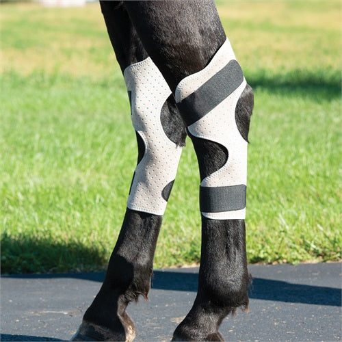 Equine Icing & Cooling Hock Wraps on a model horse