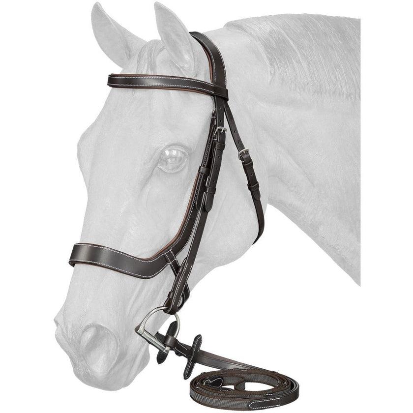 Equitare Cadence Ergonomic Bridle Brown
