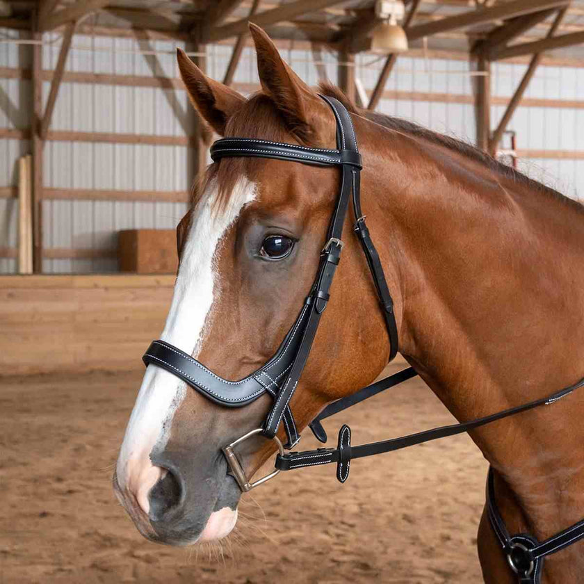 Equitare Cadence Ergonomic Bridle on model horse