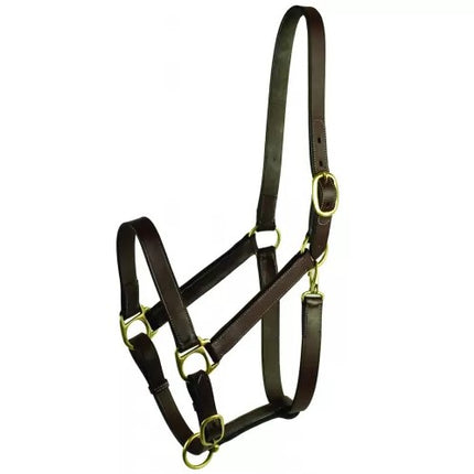 Gatsby® Adjustable Turnout Halter With Snap