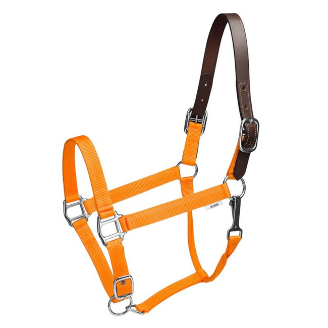 Gatsby® Nylon Breakaway Halter
