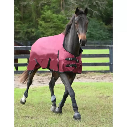 Gatsby® Premium 1200D Heavyweight Waterproof Turnout Blanket Merlot on horse at pasture.