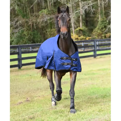 Gatsby® Premium 1200D Heavyweight Waterproof Turnout Blanket Deep Blue on horse at pasture.