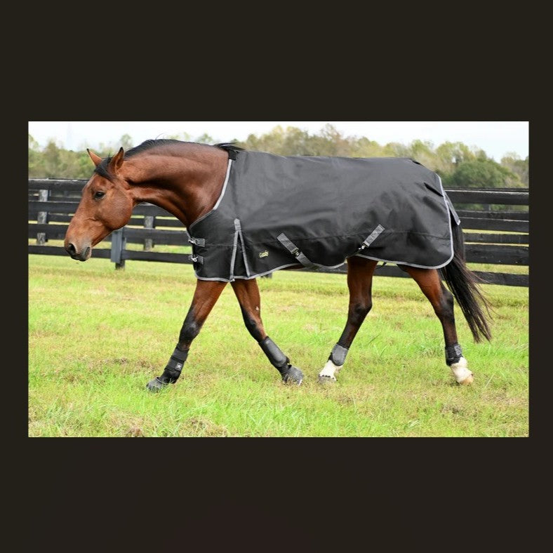 Horse wearing a black Gatsby® Premium 1200D 250g Heavyweight Waterproof Turnout Blanket