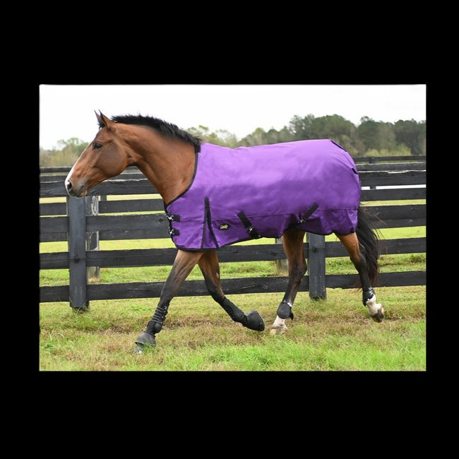 Horse wearing a purple Gatsby® 1200D HW Waterproof Turnout Blanket