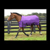 Horse wearing a purple Gatsby® 1200D HW Waterproof Turnout Blanket