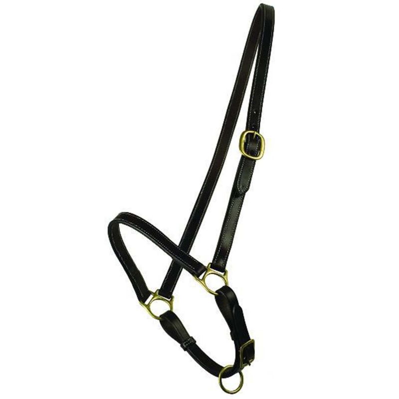 Gatsby® Grooming Halter Horse Havana
