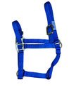 Hamilton Nylon Quality Halter Cob