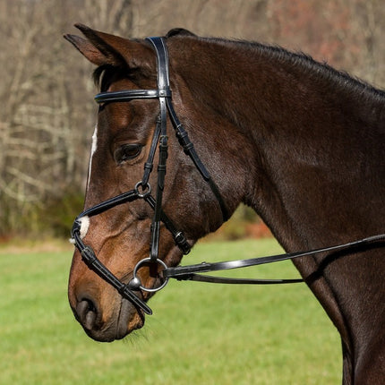 Henri de Rivel Pro Mono Crown Raised Figure Eight Bridle Black
