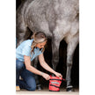 Equine Hoof Soaker Boot Kit model show hoof in boot on ground