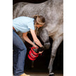 Equine Hoof Soaker Boot Kit model puts horse hoof in boot