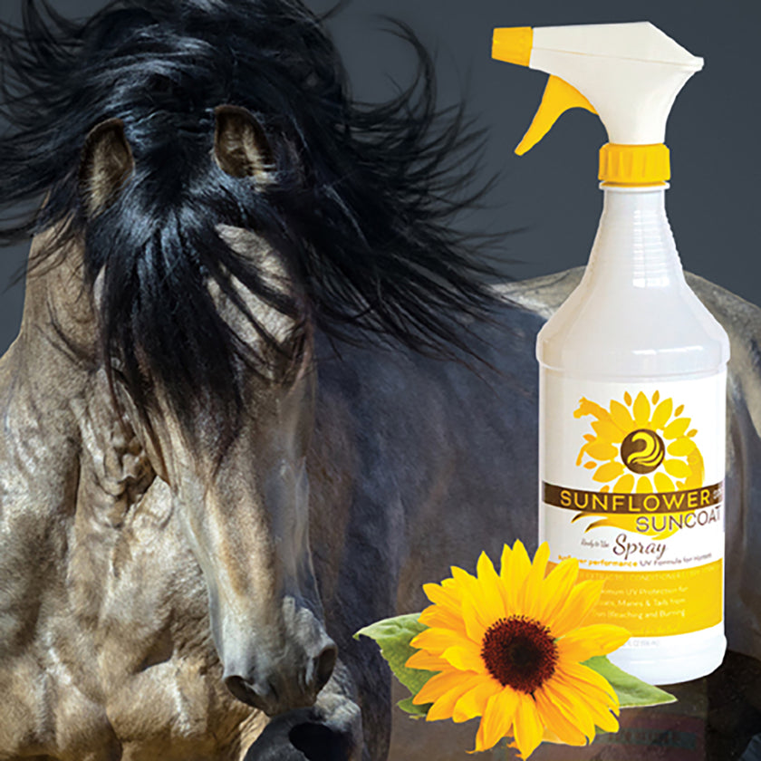 Horse Sunscreen SPF Sunflower Suncoat