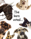 Horse Birthday Card: The Barn Voted - Collage of animals including horses, dogs, and a cat with text 'The barn voted...' on a white background.