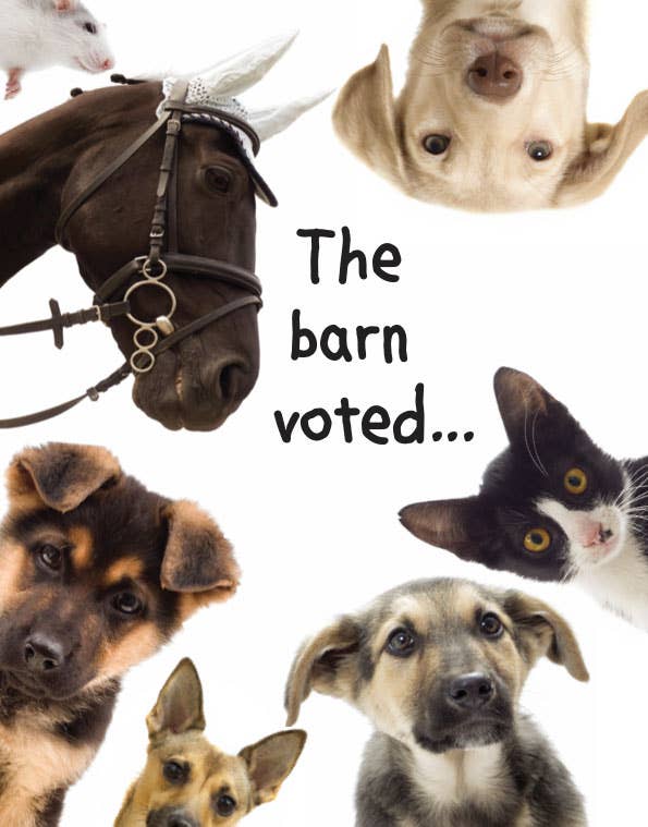 Horse Birthday Card: The Barn Voted - Collage of animals including horses, dogs, and a cat with text 'The barn voted...' on a white background.