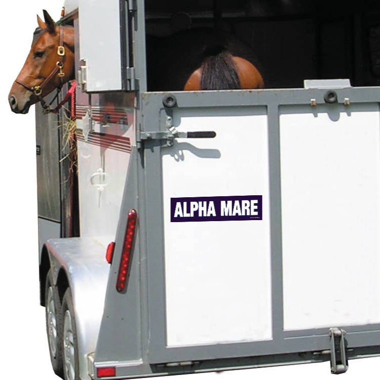 Horse Bumper Sticker: Alpha Mare! on a horse trailer