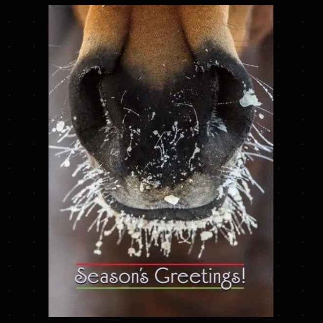Horse Christmas Card - Frosty Nose and 'Season's Greetings!' text