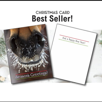 Horse Christmas Card - Frosty Nose shows front cover and inside 
