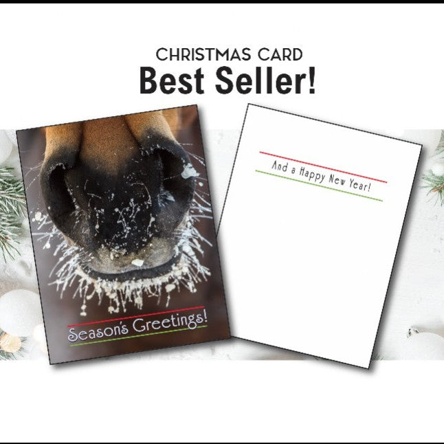 Horse Christmas Card - Frosty Nose shows front cover and inside 