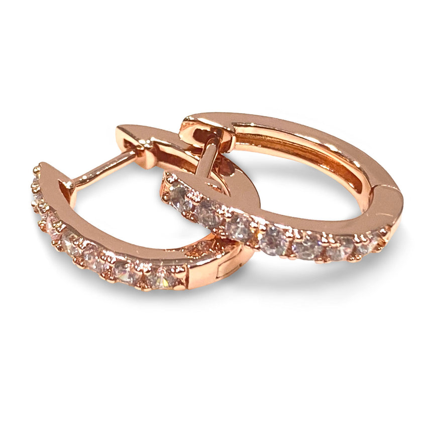 Horseshoe Hinge Earrings CZ Stones