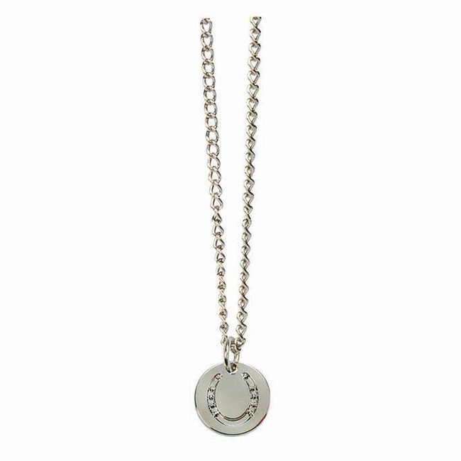 Horseshoe Pendant Necklace -Silver necklace with a round pendant on a white background