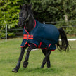 Horseware® Mio Turnout  in dark blue and red on a horse running at pasture.