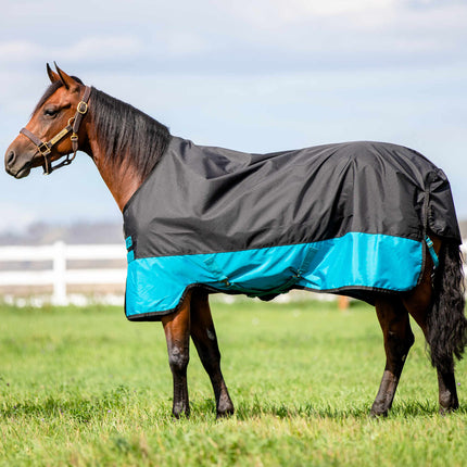 Horseware® Mio Turnout (Medium 200g) Full view on horse