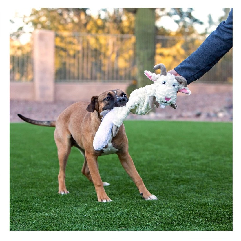 Jolly Pets Fat Tail showing dog tugging toy.