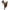 KHS CONSIGNMENT 18 INCH Australian Saddle