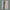 Wooden walking stick with green leaf designs on a gray background