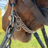Brown horse with a bridle and KHS-E Curb Chain