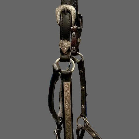 Close-up of a leather KHS-E Cob Showmanship Halter