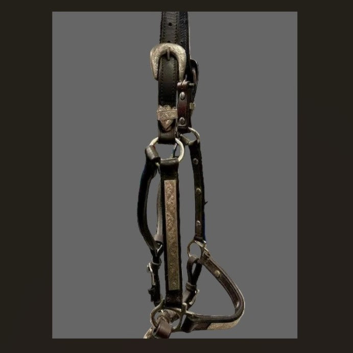 KHS-E Cob Showmanship Halter 3