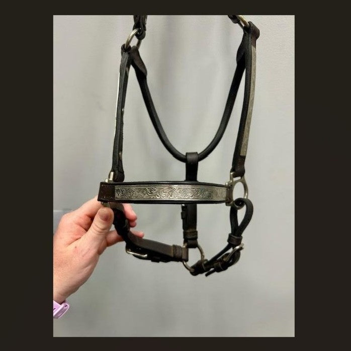 KHS-E Cob Showmanship Halter detail