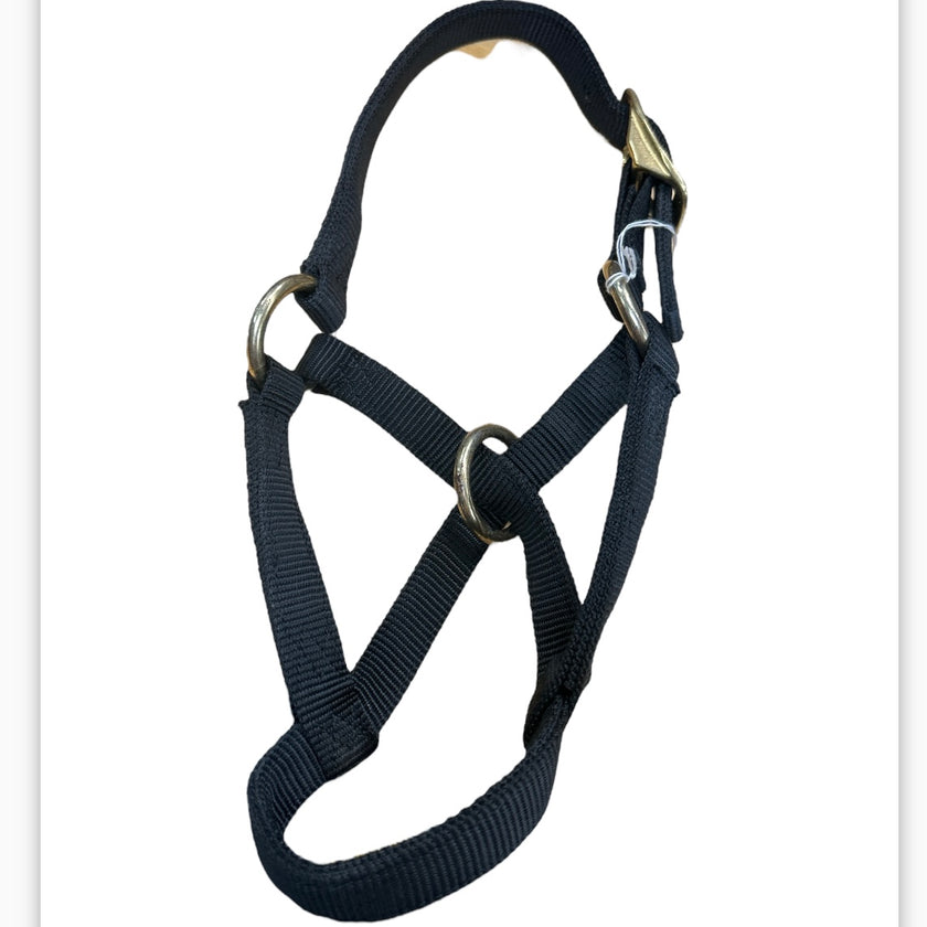 KHS-E Hamilton Black Nylon Goat Halter