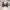 KHS-E Leather Chelsea Boots seen from the back, a pair
