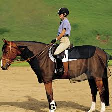 KHS-E Quiet Ride Bug Armor Horse Fly Sheet