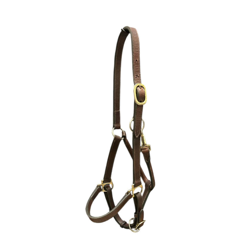 KHS_E Pony Brown Leather Halter
