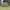 Hay Chix® Large Bale Net - 5'