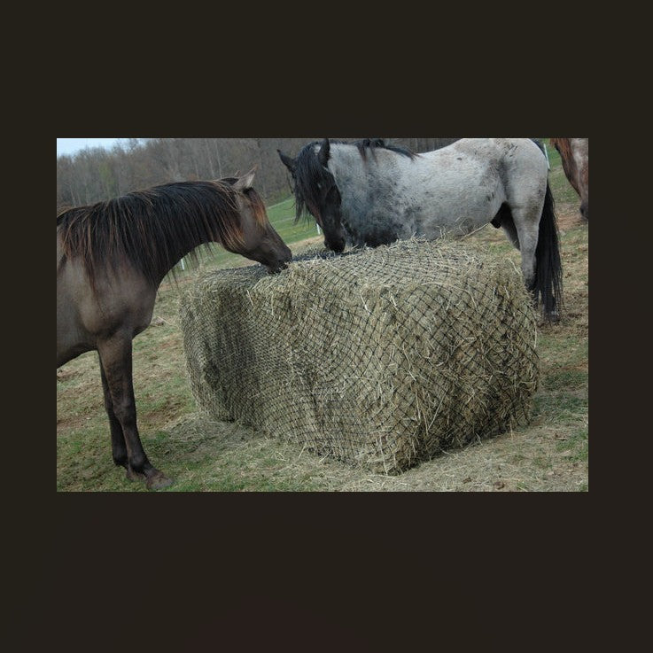 Hay Chix® Large Bale Net - 6'