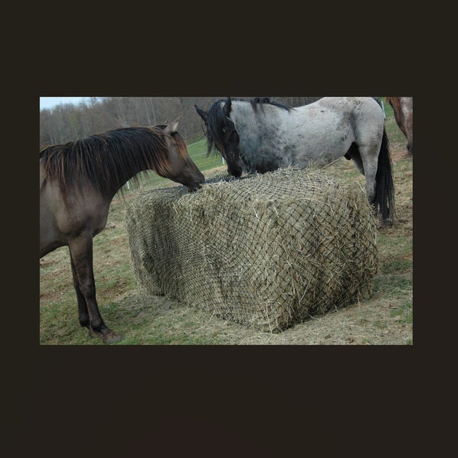 Hay Chix® Large Bale Net - 6'