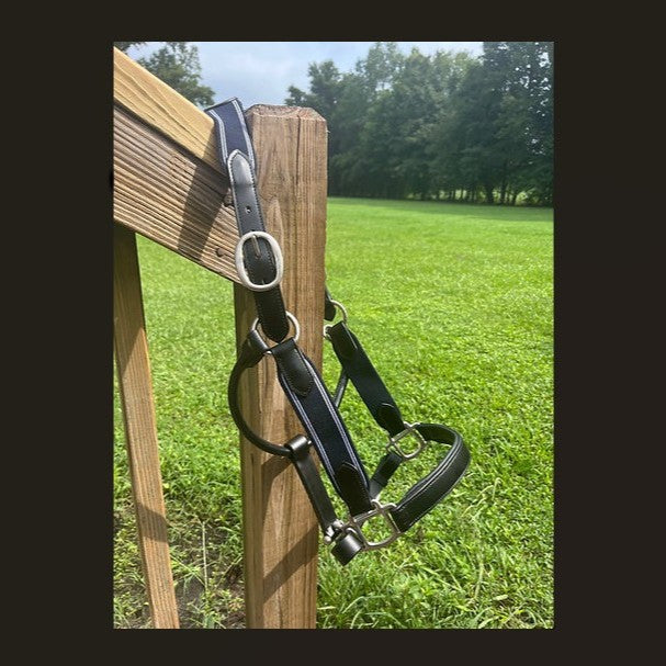 Leather and Side Rein Elastic Halter