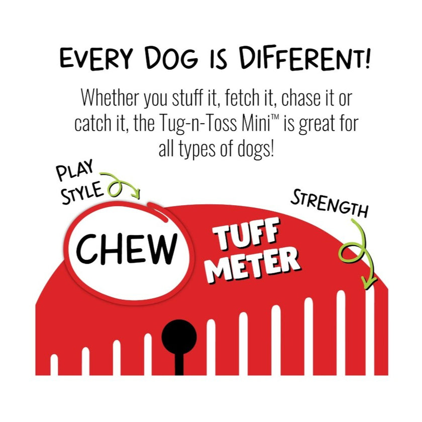 Jolly Pets Tug-n-Toss Mini great for all dogs