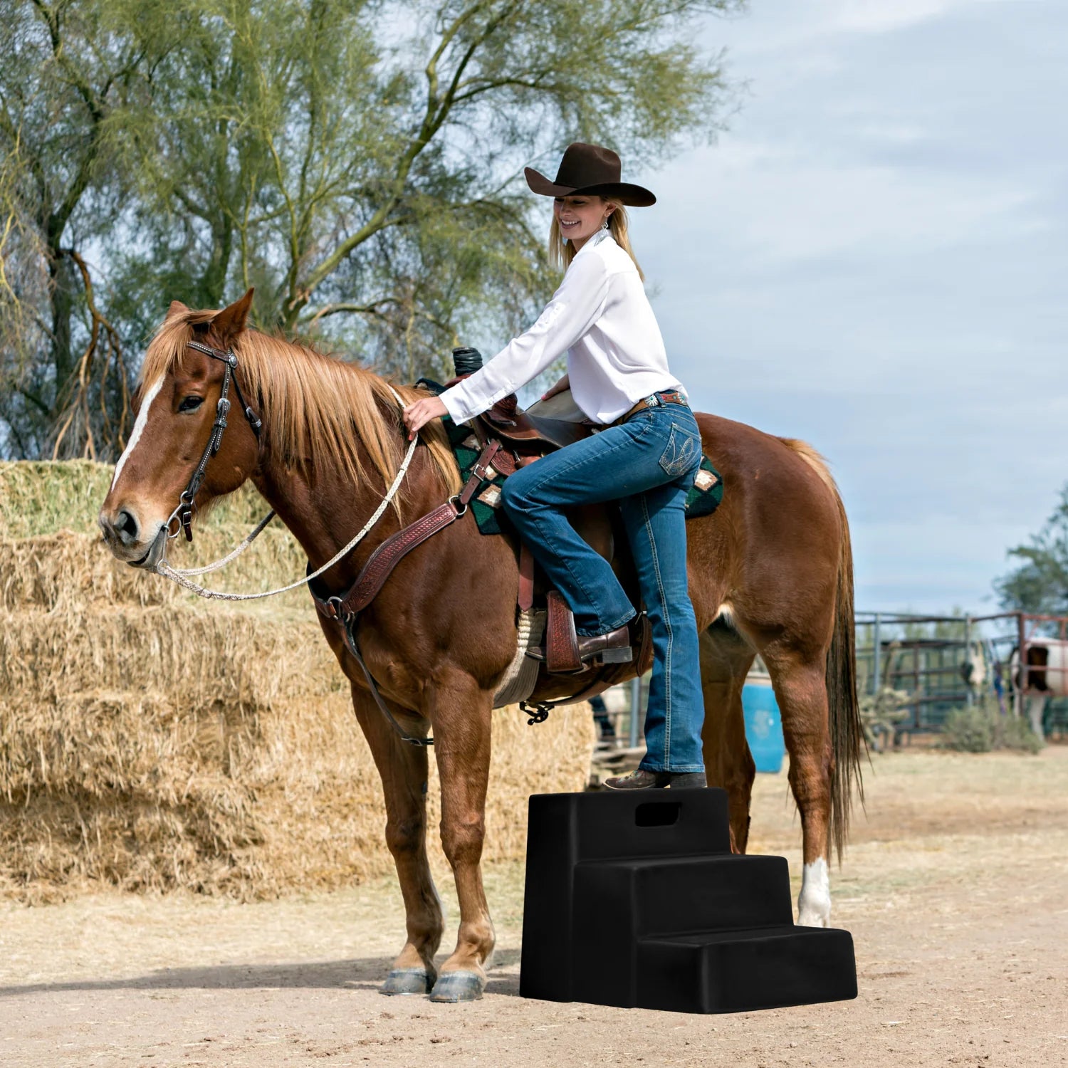 Horsemen’s Pride 3-Step Mounting Block - RED