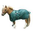 Mini Turnout Blanket with Belly Band in hunter Green