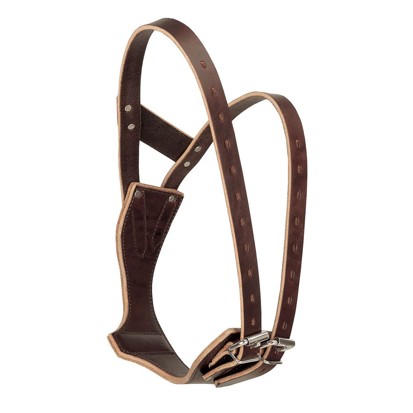 Miracle Collar® by Weaver Havana