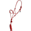 Mustang Pony/Colt Rope Halter and Lead Red and White