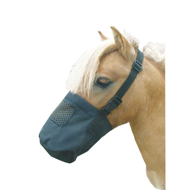 Horse wearing a black Nylon Coated Mini Feed Bag